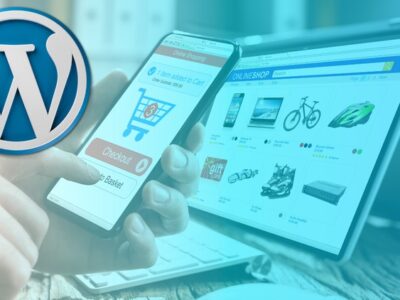 Advanced WordPress Course for Professionals