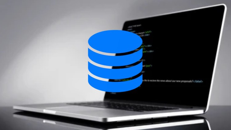 Database-Bootcamp-SQL-Python-Integration-and-MORE